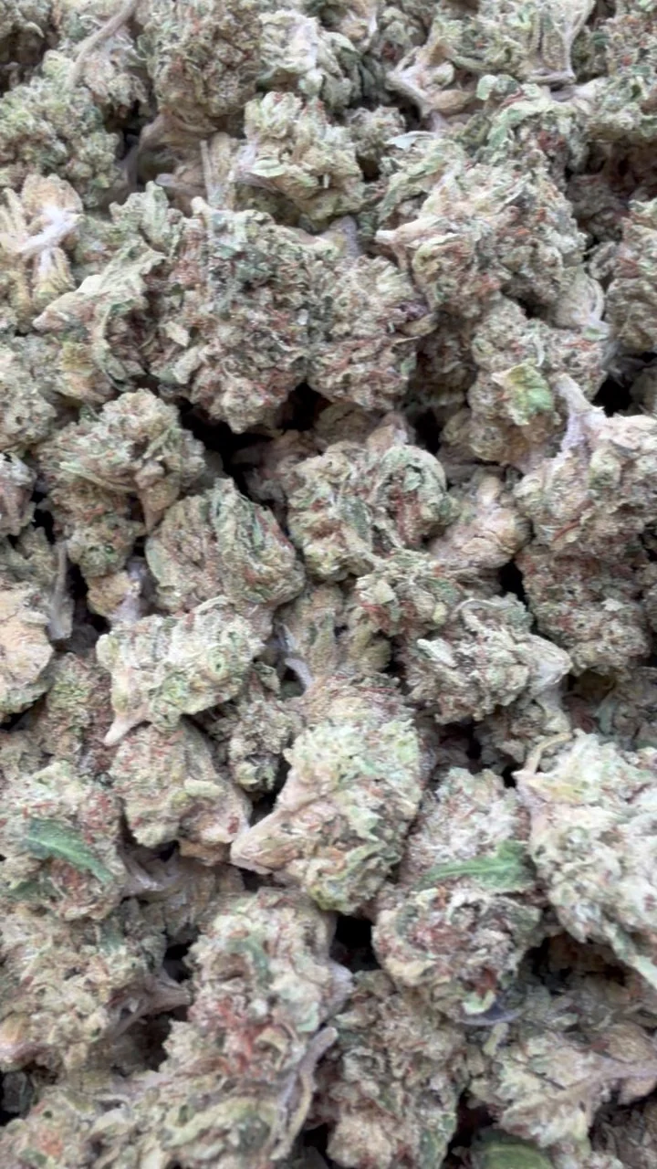 Blueberry Zkittlez Littles - Bulk Littles- Indica