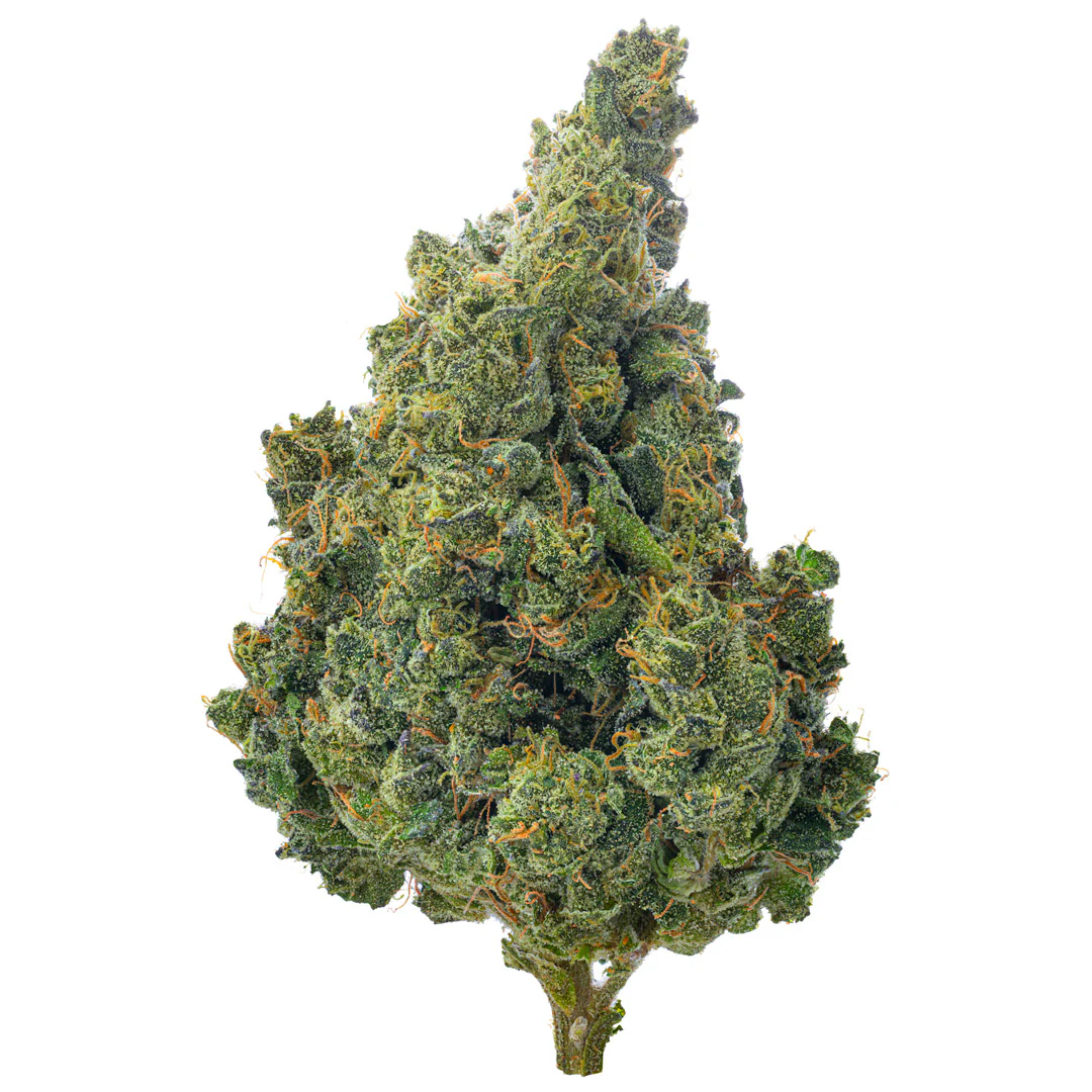 Super Jack Indoor - 14 Grams - Sativa - Image 3